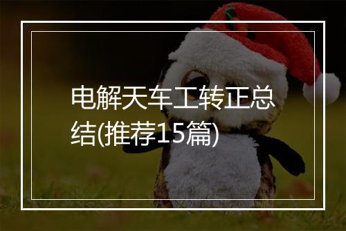 电解天车工转正总结(推荐15篇)