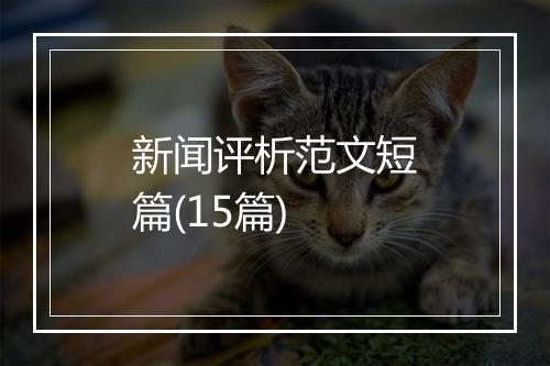 新闻评析范文短篇(15篇)