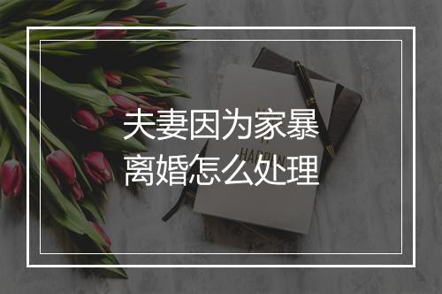 夫妻因为家暴离婚怎么处理