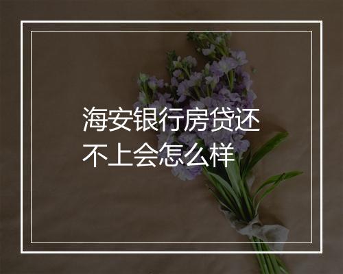 海安银行房贷还不上会怎么样