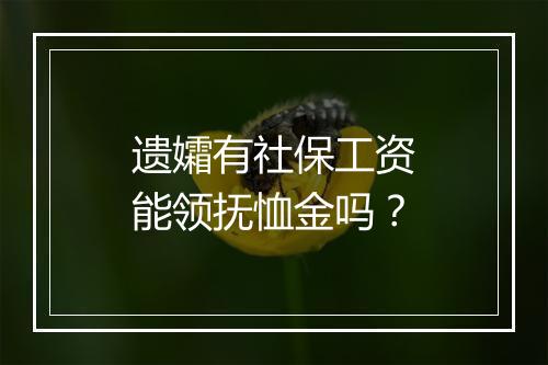 遗孀有社保工资能领抚恤金吗?