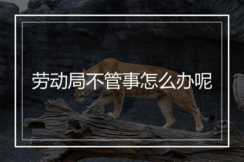 劳动局不管事怎么办呢