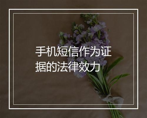 手机短信作为证据的法律效力