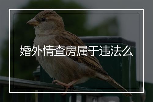 婚外情查房属于违法么