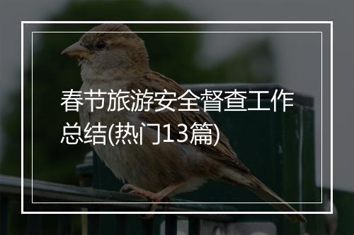 春节旅游安全督查工作总结(热门13篇)