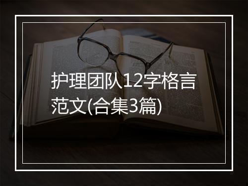 护理团队12字格言范文(合集3篇)