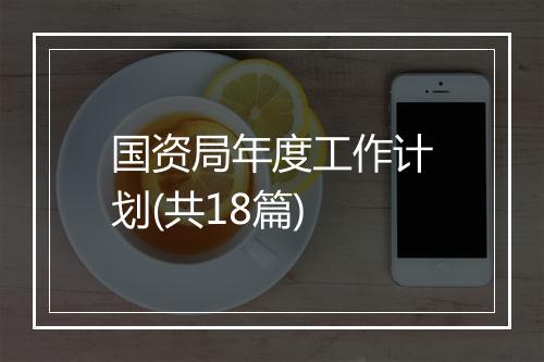 国资局年度工作计划(共18篇)