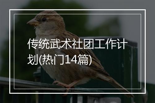 传统武术社团工作计划(热门14篇)