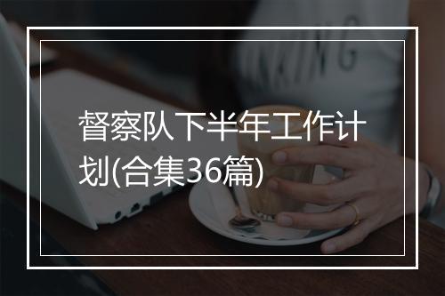 督察队下半年工作计划(合集36篇)
