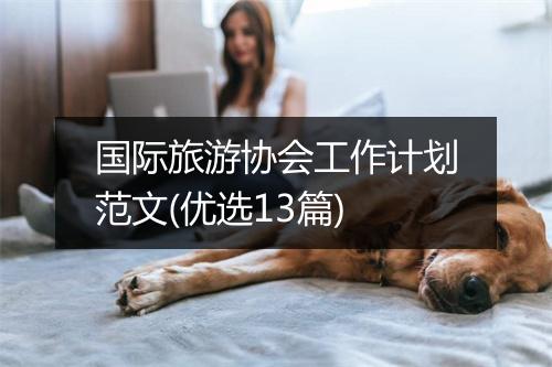 国际旅游协会工作计划范文(优选13篇)