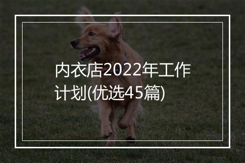 内衣店2022年工作计划(优选45篇)