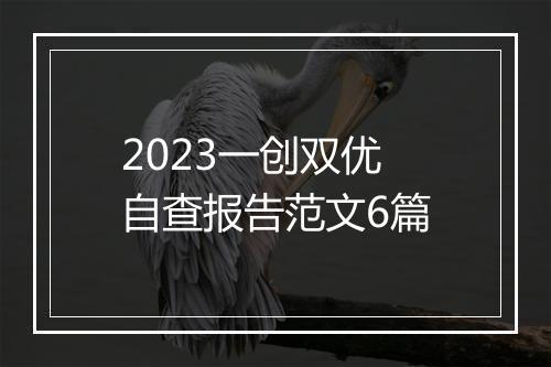 2023一创双优自查报告范文6篇