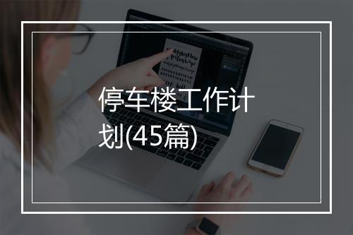 停车楼工作计划(45篇)