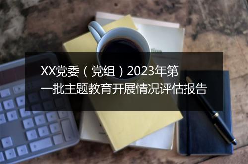 XX党委(党组)2023年第一批主题教育开展情况评估报告