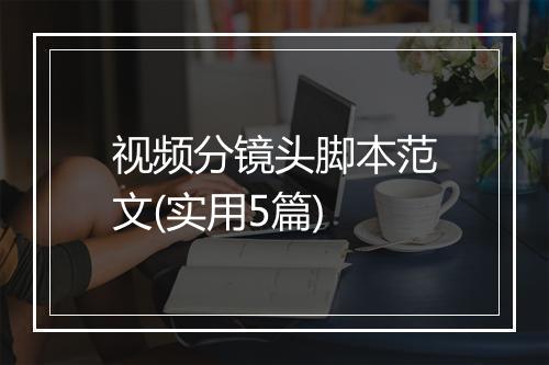视频分镜头脚本范文(实用5篇)