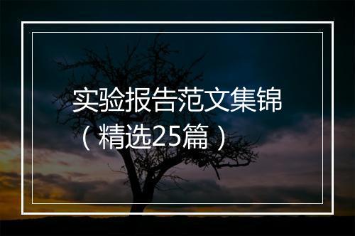 实验报告范文集锦(精选25篇)