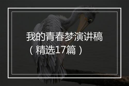 我的青春梦演讲稿(精选17篇)