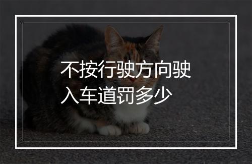 不按行驶方向驶入车道罚多少