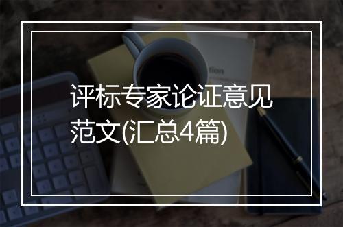评标专家论证意见范文(汇总4篇)