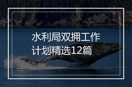 水利局双拥工作计划精选12篇