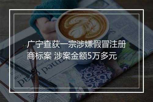 广宁查获一宗涉嫌假冒注册商标案 涉案金额5万多元