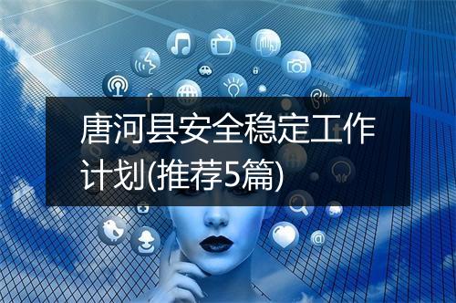 唐河县安全稳定工作计划(推荐5篇)