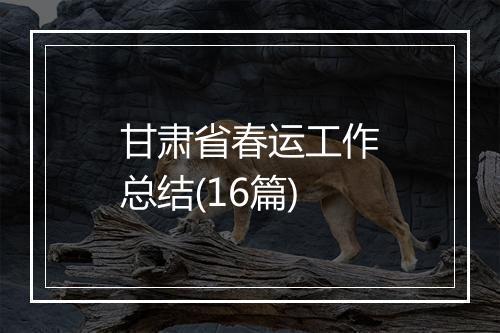 甘肃省春运工作总结(16篇)