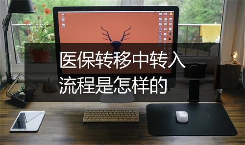 医保转移中转入流程是怎样的