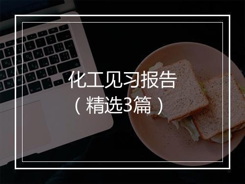 化工见习报告(精选3篇)