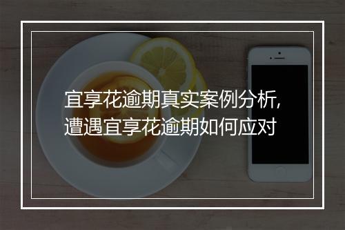 宜享花逾期真实案例分析,遭遇宜享花逾期如何应对