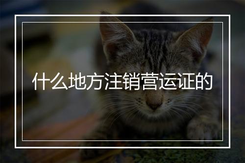 什么地方注销营运证的