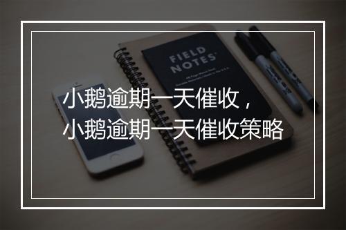 小鹅逾期一天催收 ,小鹅逾期一天催收策略