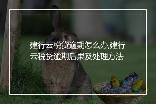 建行云税贷逾期怎么办,建行云税贷逾期后果及处理方法