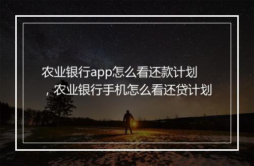 农业银行app怎么看还款计划,农业银行手机怎么看还贷计划