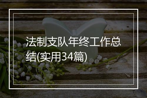 法制支队年终工作总结(实用34篇)