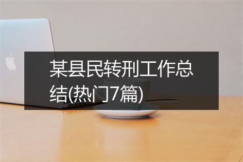 某县民转刑工作总结(热门7篇)