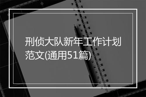 刑侦大队新年工作计划范文(通用51篇)