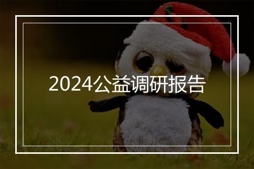 2024公益调研报告