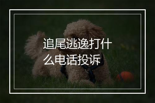 追尾逃逸打什么电话投诉