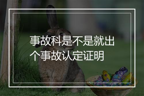 事故科是不是就出个事故认定证明