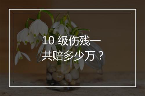 10 级伤残一共赔多少万?