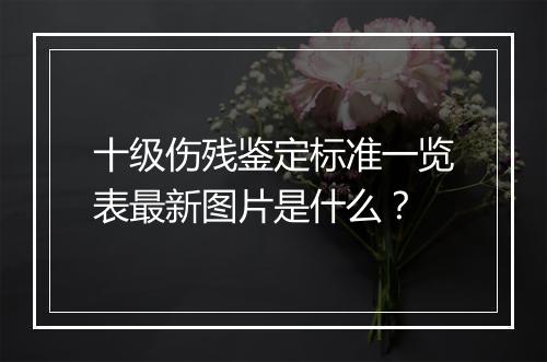 十级伤残鉴定标准一览表最新图片是什么?