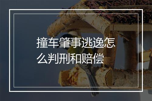 撞车肇事逃逸怎么判刑和赔偿