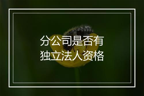分公司是否有独立法人资格