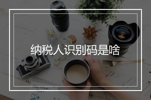 纳税人识别码是啥