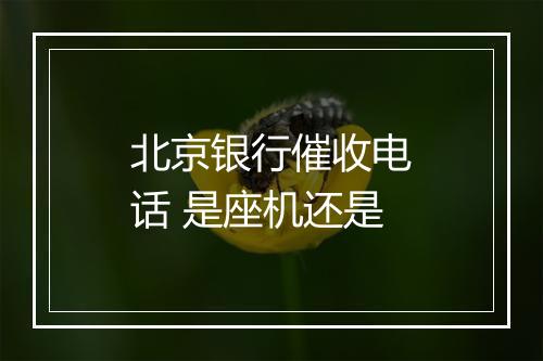 北京银行催收电话 是座机还是