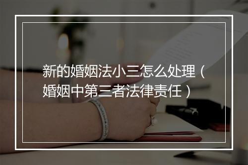 新的婚姻法小三怎么处理(婚姻中第三者法律责任)