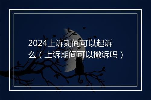2024上诉期间可以起诉么(上诉期间可以撤诉吗)