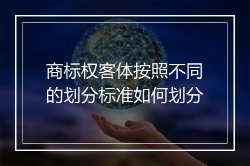 商标权客体按照不同的划分标准如何划分