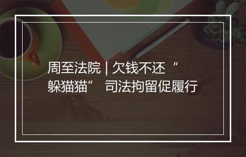 周至法院 | 欠钱不还“躲猫猫” 司法拘留促履行